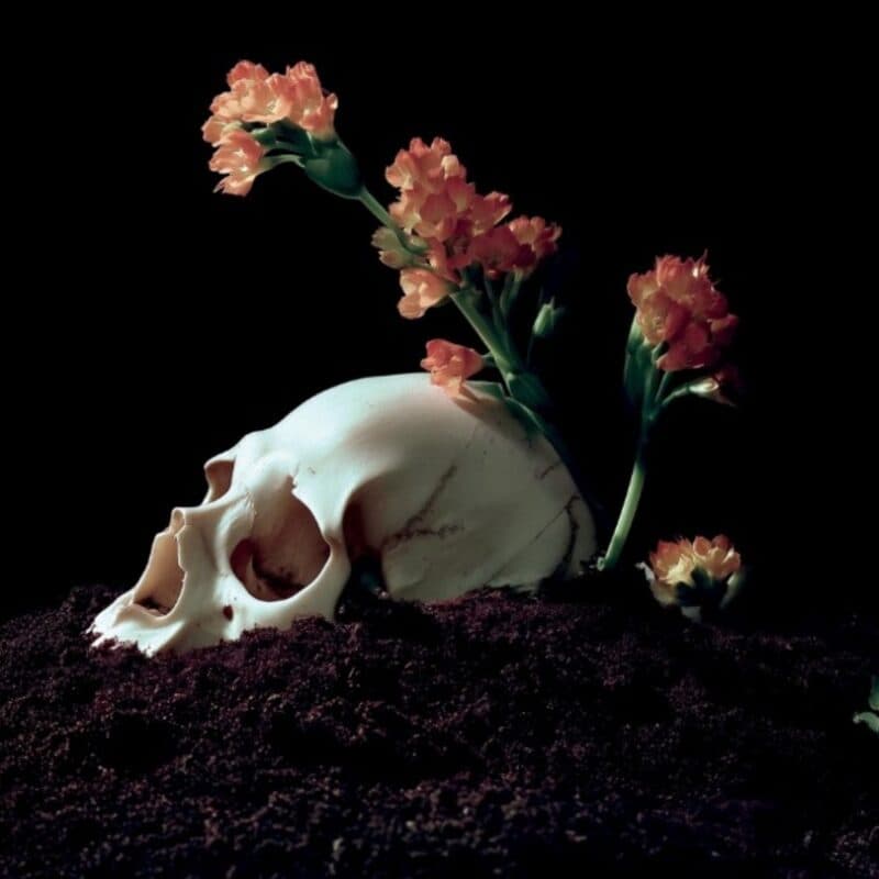 Image de couverture pour l'événement Requiem & Miserere Mei